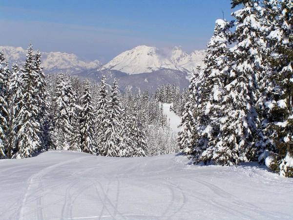 Ideális kezdopálya a Marchenwiesen Hütte felé