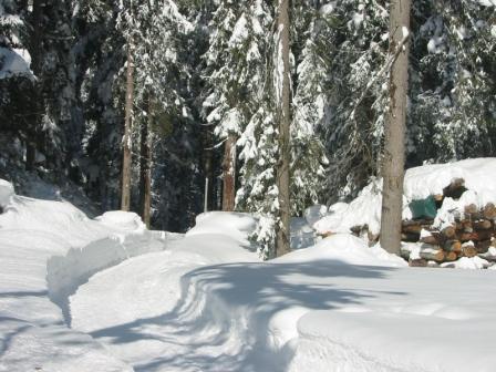 Winterwanderweg-Aue-Kirchplatzl.jpg