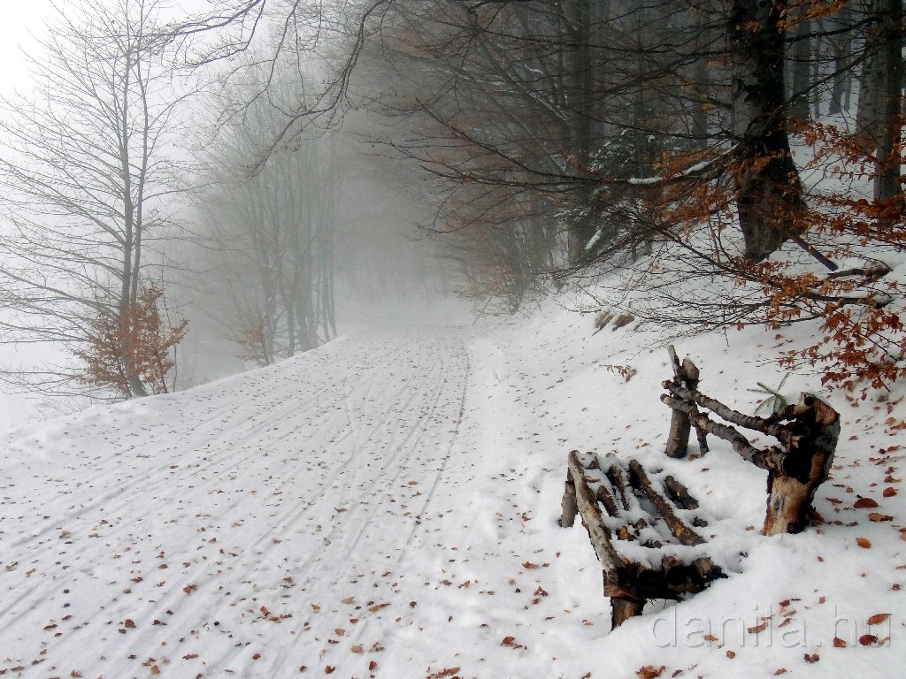 Donovaly12-0279.jpg