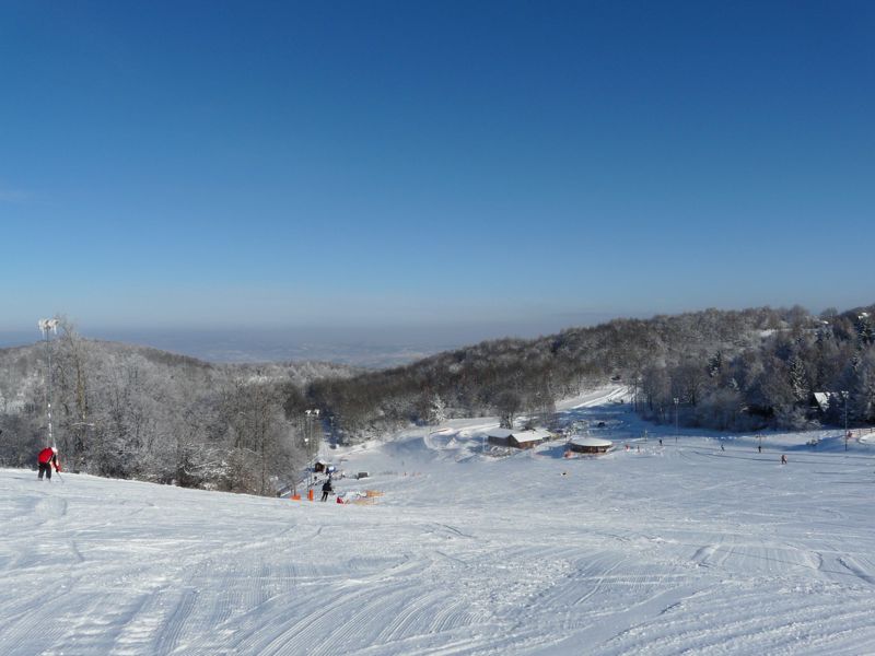 sipark-2010febr1-009.jpg