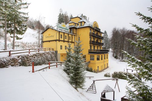 hotel-sonnwendhof-semmering01.jpg