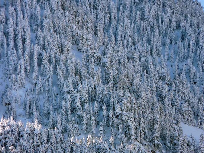 Masella - Fotó: Nevasport