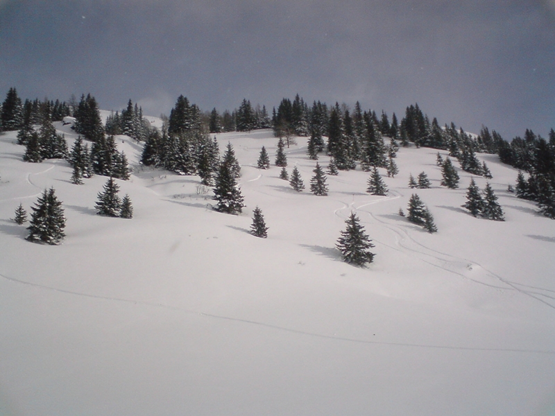 A barátságos nyugati oldal