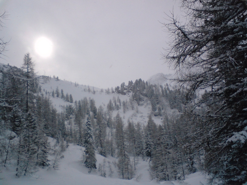 Az erdei útról visszanézve