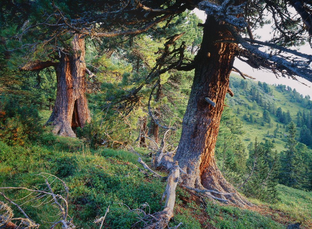 © Steiermark Tourismus