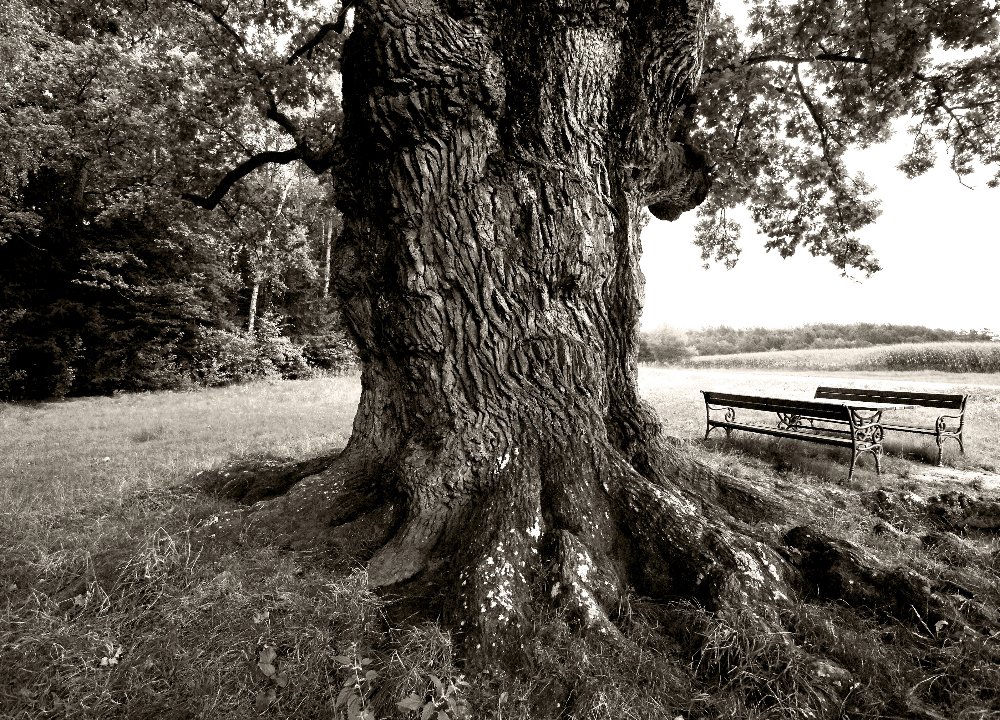 © Steiermark Tourismus / Lanxx