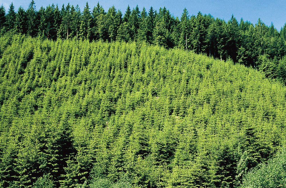 © Steiermark Tourismus / Hans Wiesenhofer