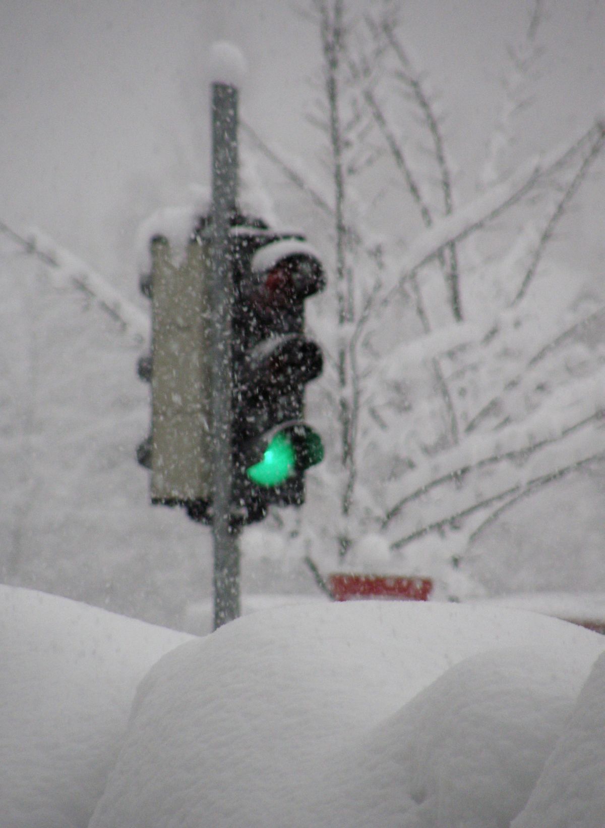 Lassan a zöldet sem látjuk - Fotó: Stánicz Balázs