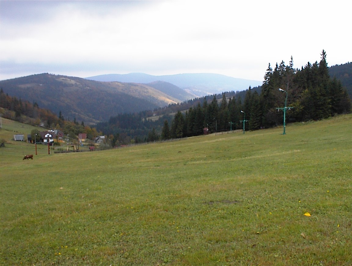 A sípálya még zöld