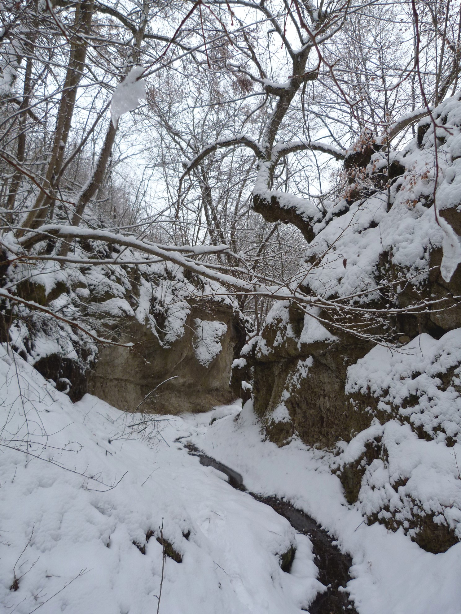 Szent László- hasadék