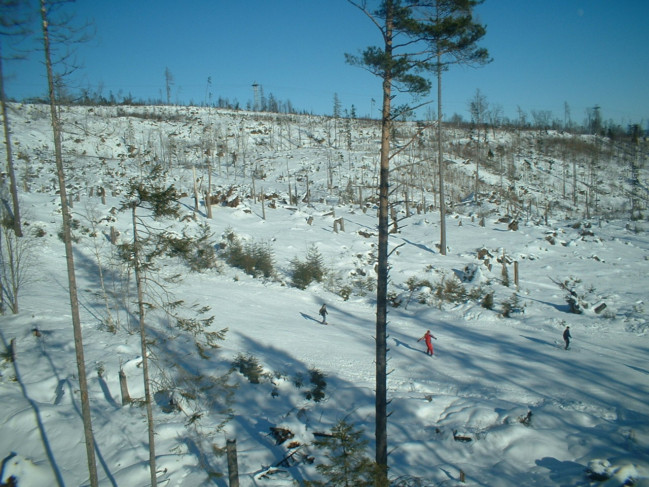 DSCF0037.JPG