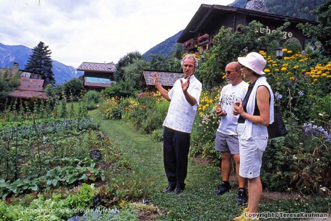 Teresa fotó sétái