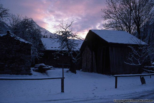 Teresa fotó sétái