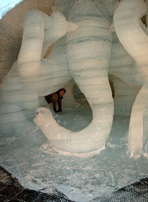 "Elefánt", a lábai közöt bujkálni lehet