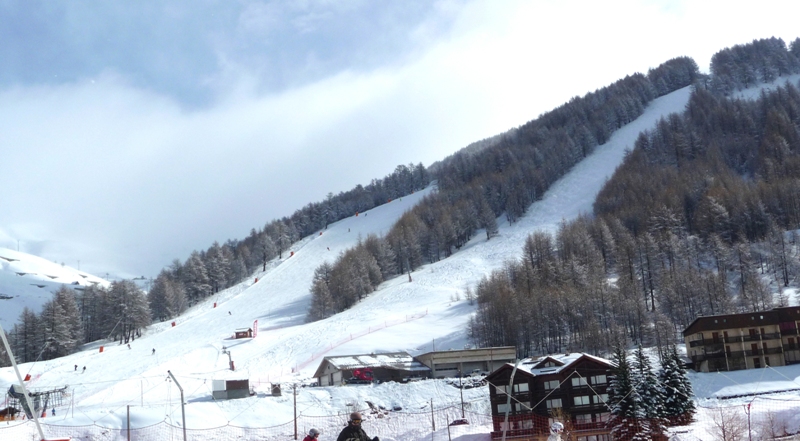 2 piros pálya :"tétras" & "arnica"