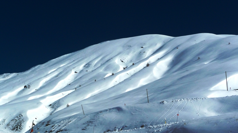 "renards" kék pálya mellett