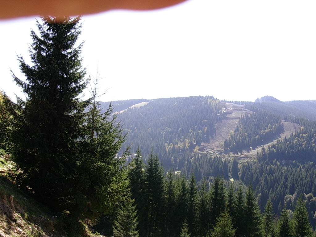 régi és új valószinü terep látszik a felvonó talpazata.