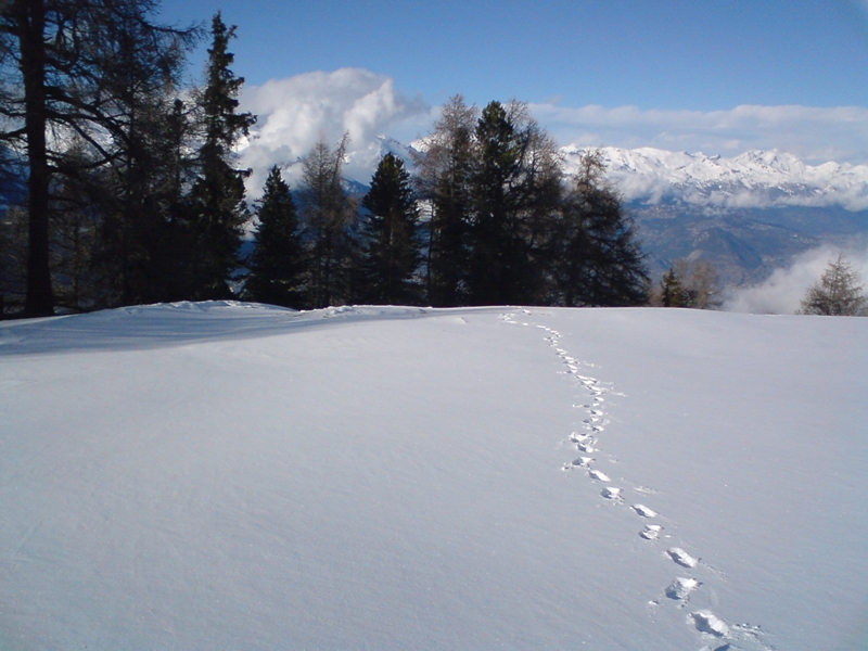 Nendaz, Séta az utolsó csúszásért