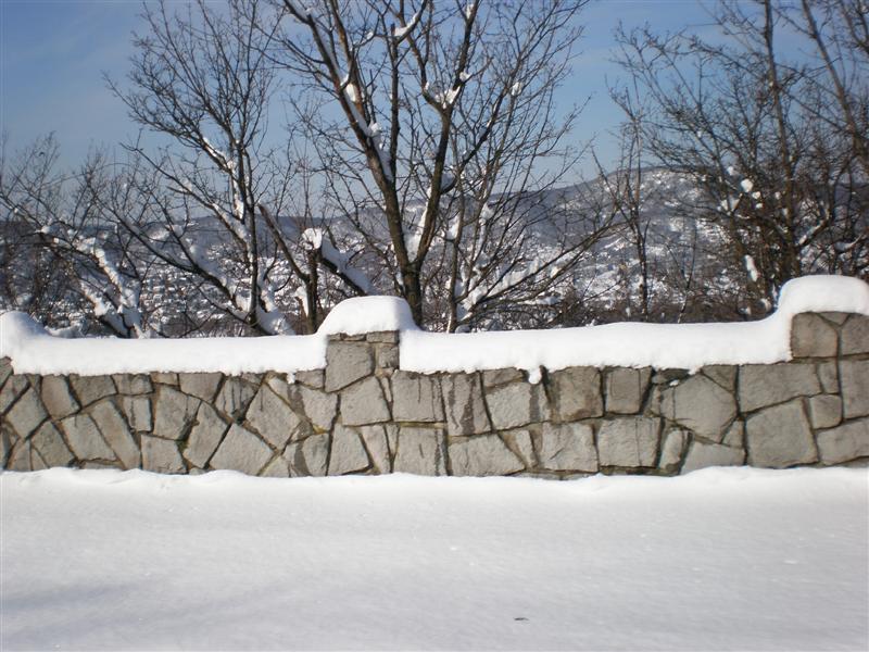 P2180050-Medium.JPG