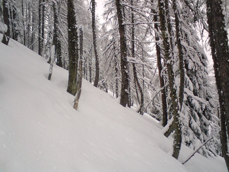 Ez a hely lett a kedvencünk (03.19)