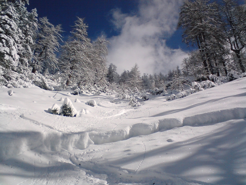 Tegnapi spontán lavina nyoma (03.20)