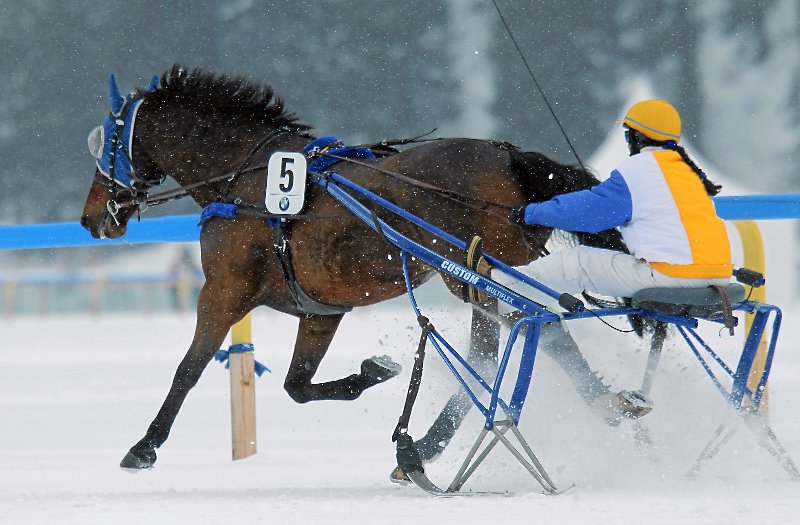 Copyright: swiss-image.ch/Photo by Andy Mettler