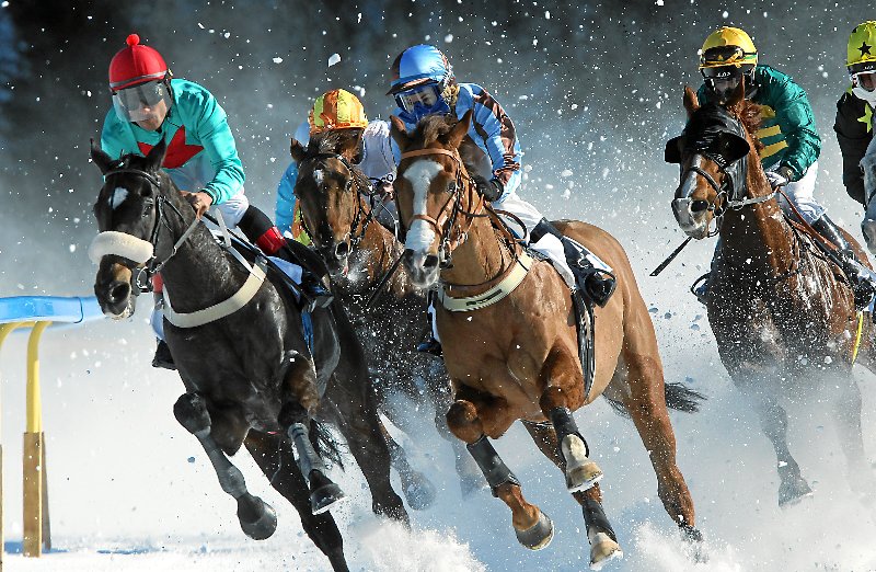 Copyright: swiss-image.ch/Photo by Andy Mettler