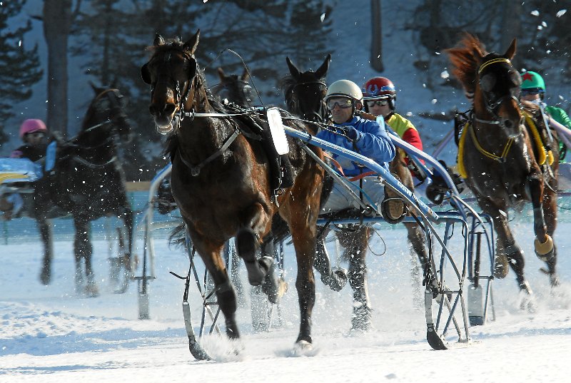 Copyright: swiss-image.ch/Photo by Andy Mettler