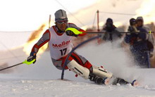 Albrecht itt még osztrák