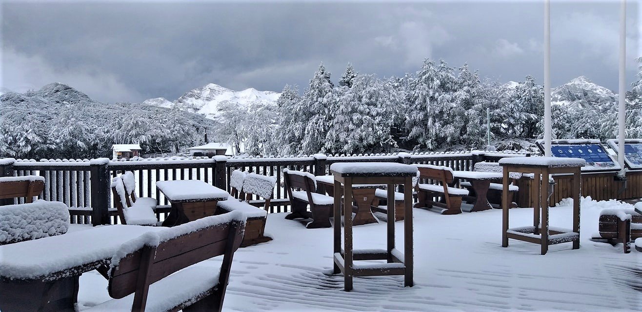 Vogel - itt is elkezdődött!