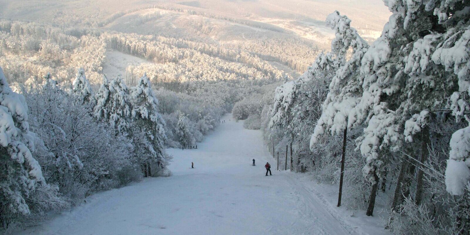 Ilyen, amikor havas a pécsi sípálya | Fotó: Fóris Gábor (2008)