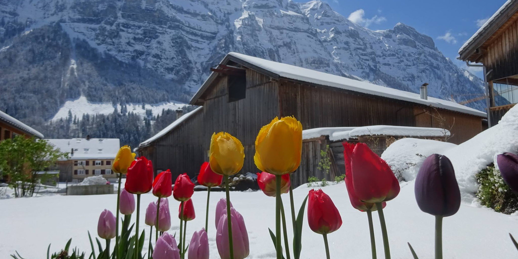 Schnepfau település Vorarlbergben háttérben a jellegzetes Kanisfluh heggyel. Fagykárok. Kép: Andrea Bereuter (facebook)
