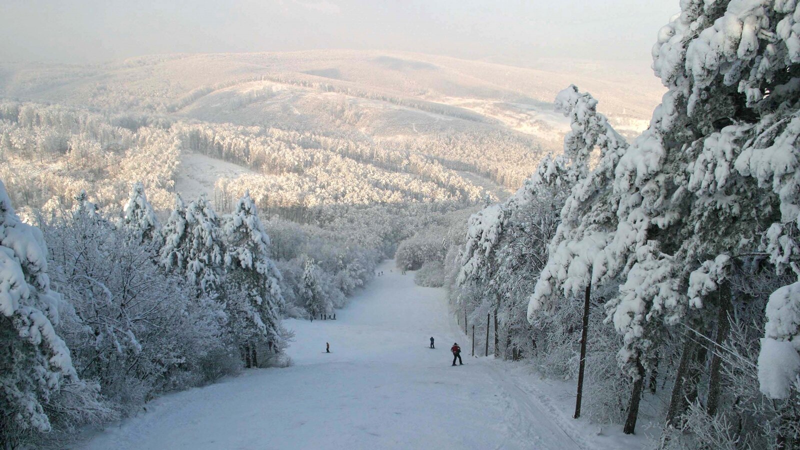 A pécsi sípálya 2008. január 4-én | Fotó: Fóris Gábor