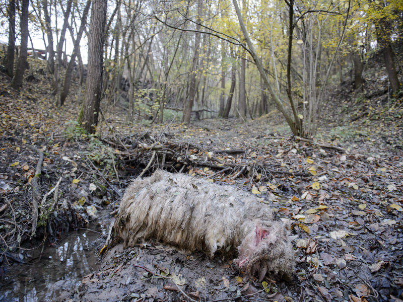 MTI Fotó: Komka Péter