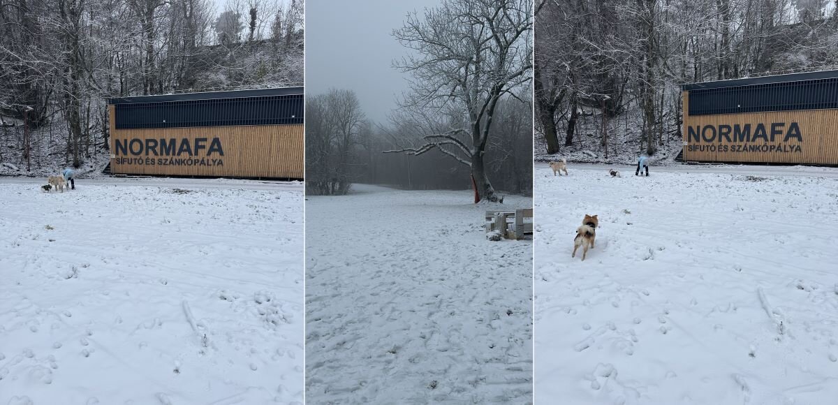 A kép 2024. december 14-én készült. | Fotó: Normafa Park