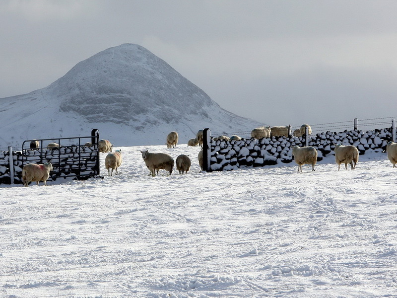 Slemish, Észak-Írország (Kép: www.mirror.co.uk)