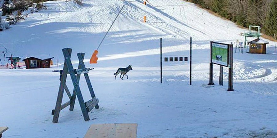 Kép: Dreiländereck Hütte