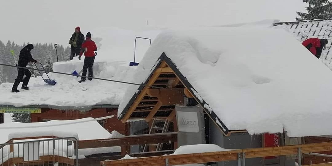 Kubinská síterepe (Kép: Foto Live Web)