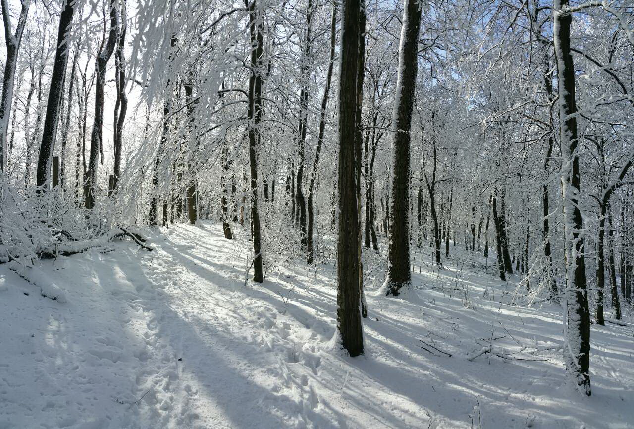 Ilyen volt a tél Dobogókő környékén ma délután