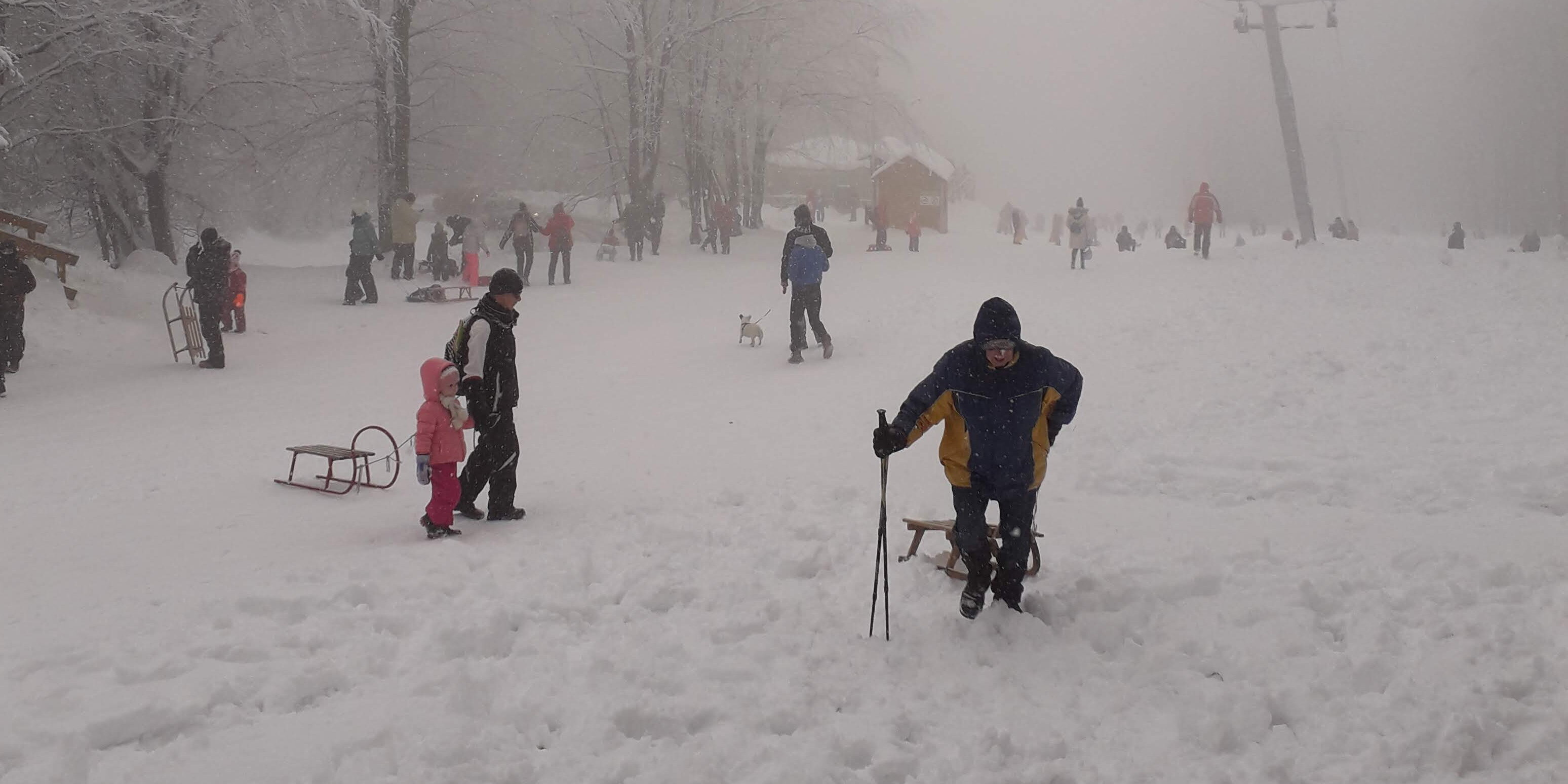 Mai szánkózás Kékestetőn (Kép: sielok.hu)