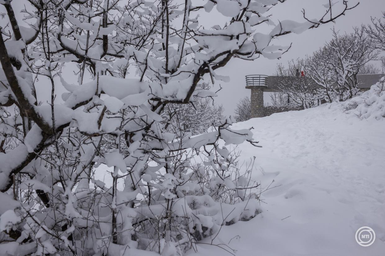 Pécs, 2026. január 5. A Kis-tubesi kilátó Pécs közelében 2026. január 5-én. MTI/Ruprech Judit