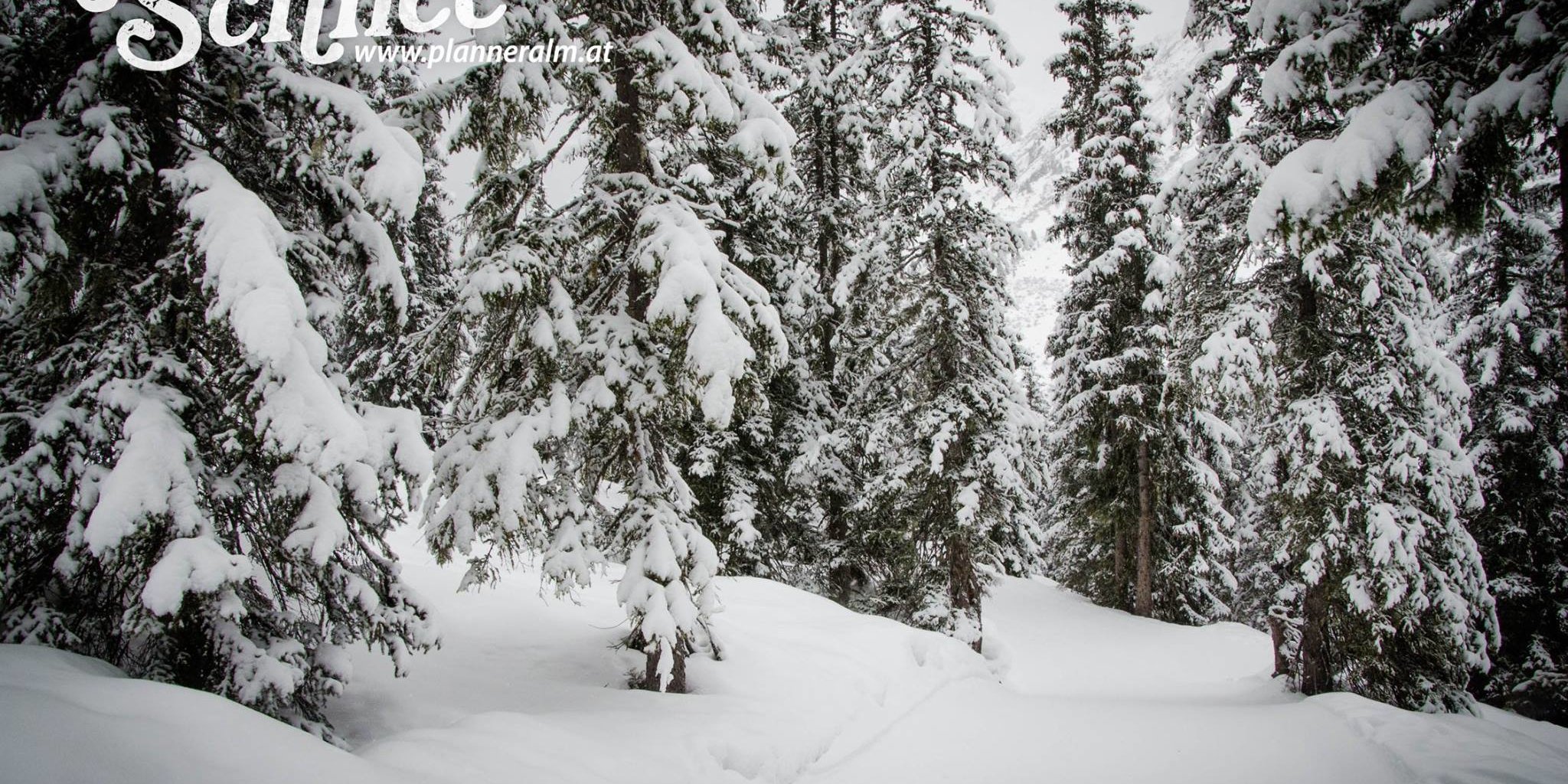 Planneralm-Donnersbach: 20 cm friss hó ma reggelre