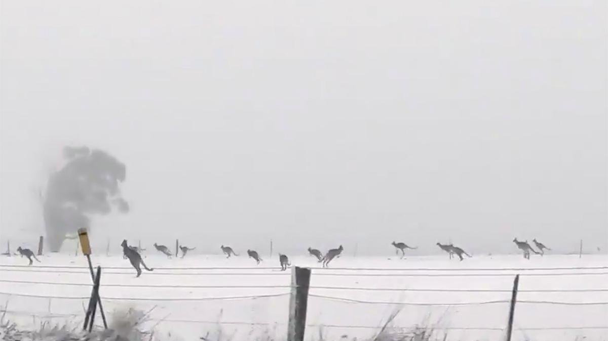 Forrás: youtube. Nézd meg lejjebb a videót!