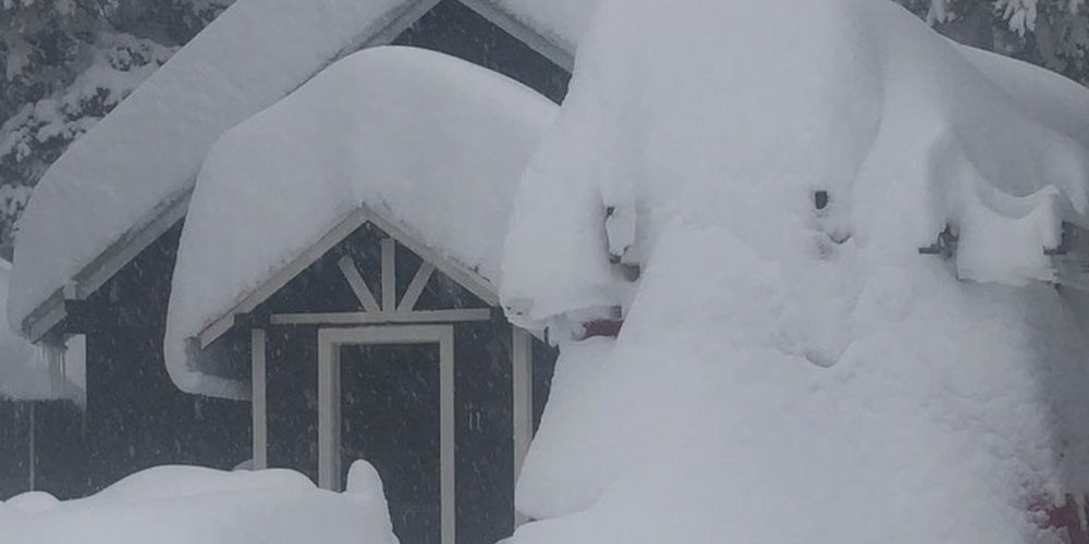 Montana (Kép: incompanyofnone/Instagram)