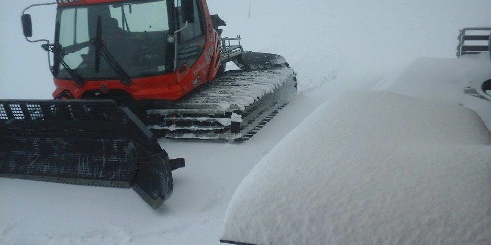 Kép: Isola 2000 / Facebook