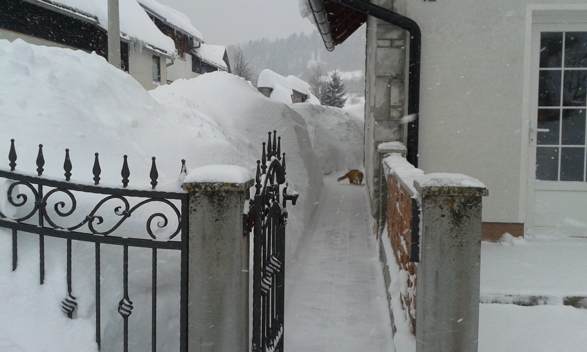 Kép: Drazen Zaputil‎