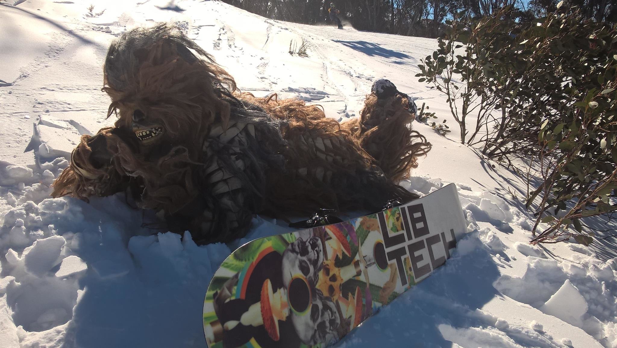 A Csubakka rajongó snowboardos (Kép: Facebook)