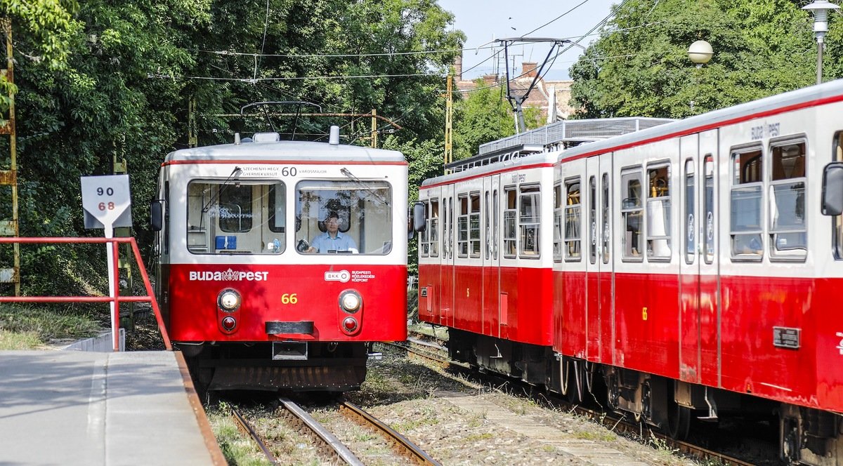 Fogaskerekű (Kép: normafapark.hu)