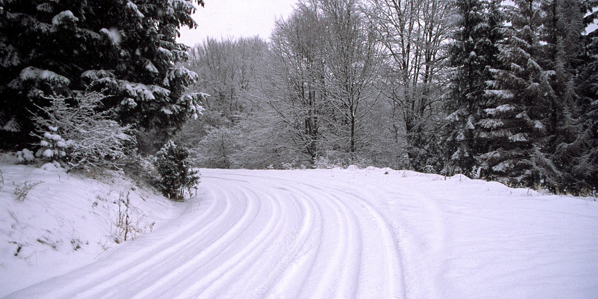 Behavazott Bükk (Kép: Kaposi Viktor, indafoto.hu/teveve, archív)