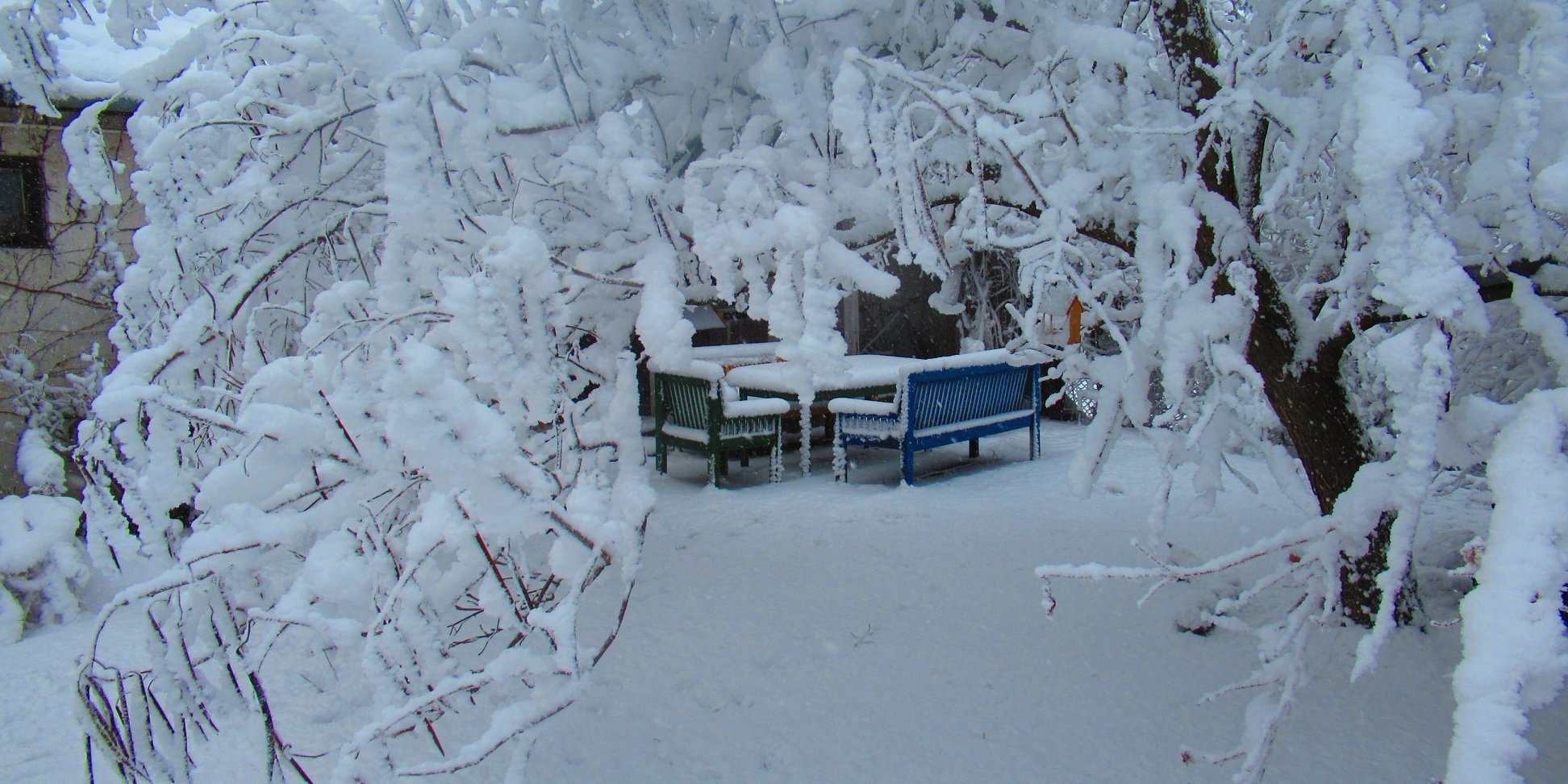 Kép: Czinderi Zoltán